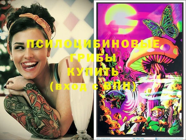 дмт Аркадак
