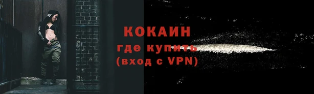 дмт Аркадак