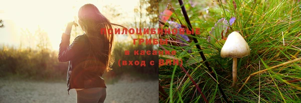 дмт Аркадак