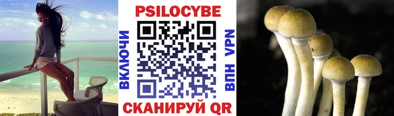 Галлюциногенные грибы GOLDEN TEACHER  Инта 